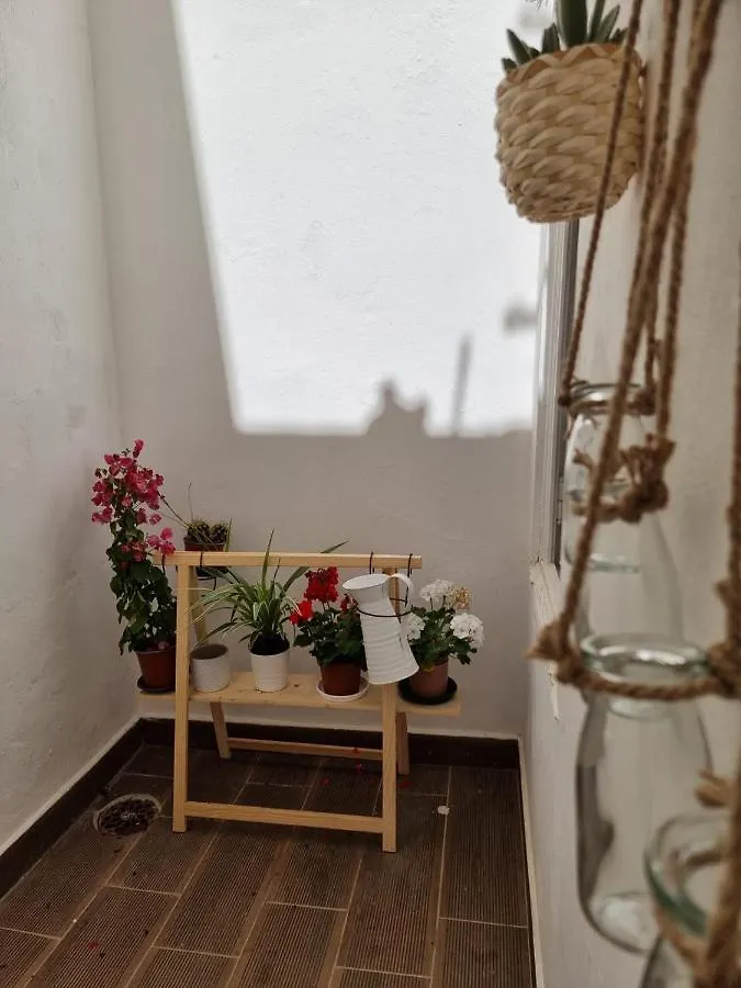 Guest house Dream Days Guesthouse Faro Portugal