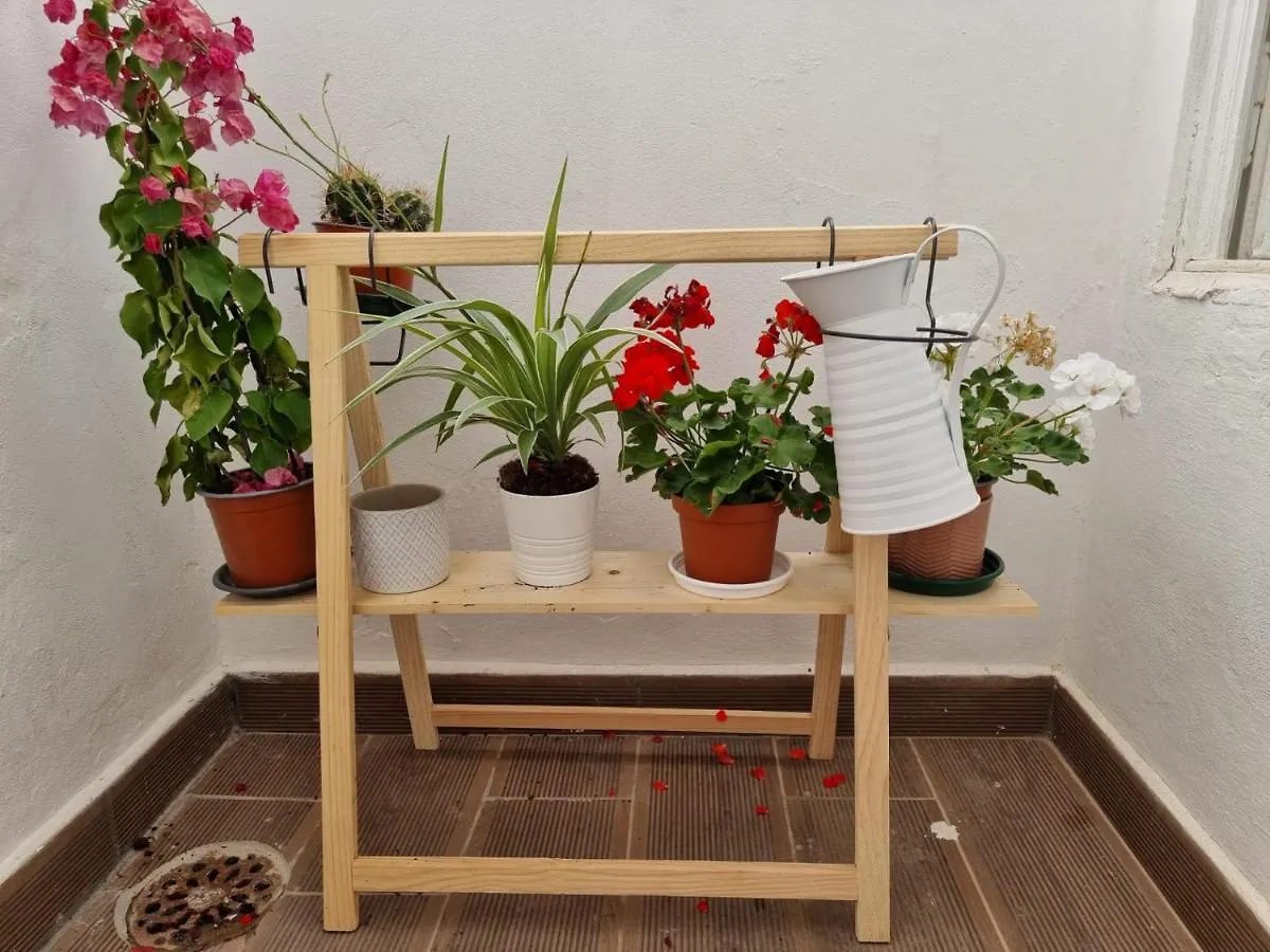 Dream Days Guesthouse District de District de Faro